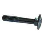Vijak torban din603 + matica m10 x 60 mm