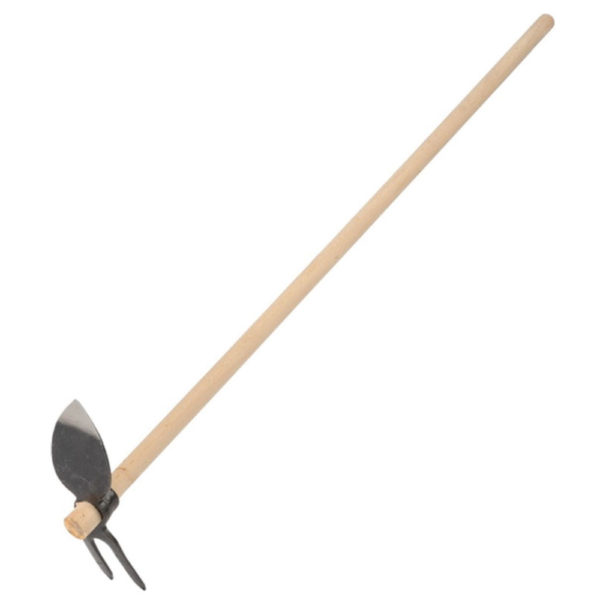 MOTIKA NASAĐENA SRCOLIKA KOVANA