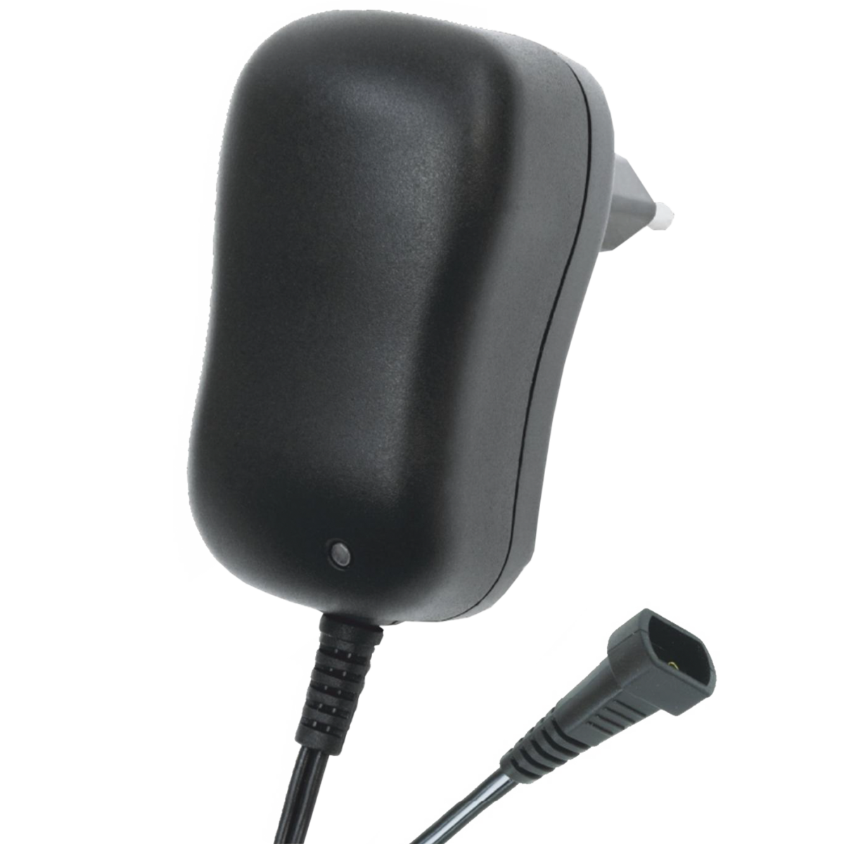 home Adapter 1000/2000 mA