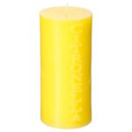 ATMOSPHERA SVIJEĆA CITRONELLA 358G ŽUTA