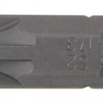 BGS bit nastavak PZ3 1/4 inča dužine 25 mm pro+ 8173