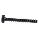 Bosch Torx vijak s ovalnom glavom 2603490025