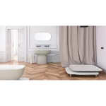 KOLPASAN Ogledalo MILO MIRROR 120X60 WHITE