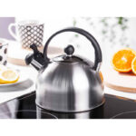 ALTOM DESIGN ČAJNIK Daily satin 2,5L - 0204001269 - Slika 2