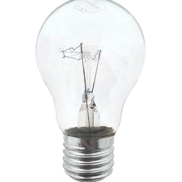 KSA ELEKTROPROFI Žarulja sa žarnom niti 100W, A55, E27, 2700K BC121254