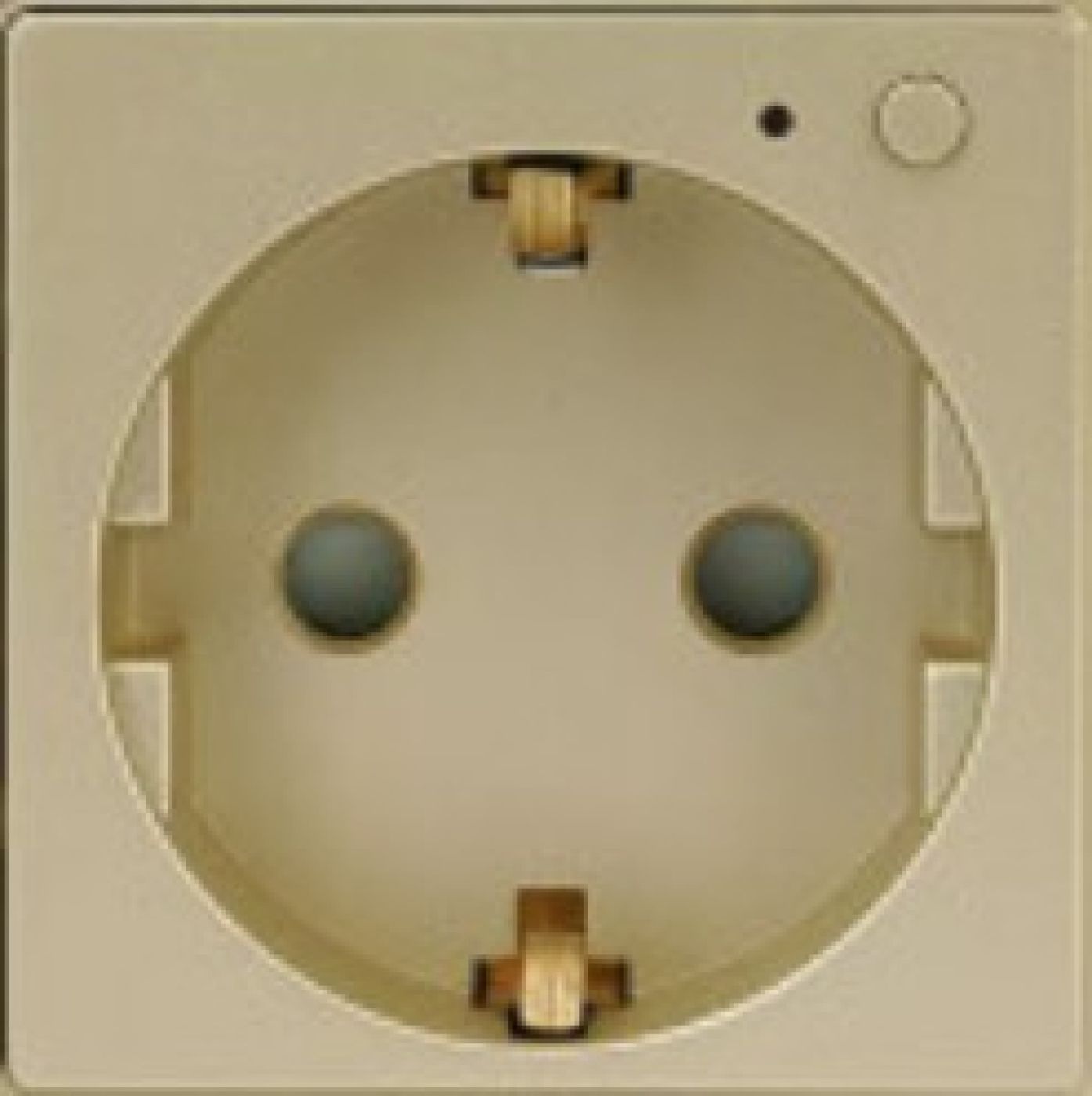 ELEKTRO SMART ELEKTRO SMART Wi-Fi modul za jednostruku EU utičnicu tip F, zlatni ES-86-WF1F-GD ELEKTRO SMART ELEKTRO SMART Wi-Fi modul za jednostruku EU utičnicu tip F, zlatni ES-86-WF1F-GD - Slika 1