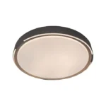 V-TAC LED dizajnerska stropna svjetiljka 30W/60W/30W s daljinskim upravljanjem 3u1, dimabilna, drvo 24205